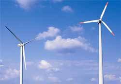 Congress challenges EPA over eagle death waivers for wind power