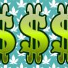 Cannabis Cash Flow