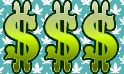 Cannabis Cash Flow